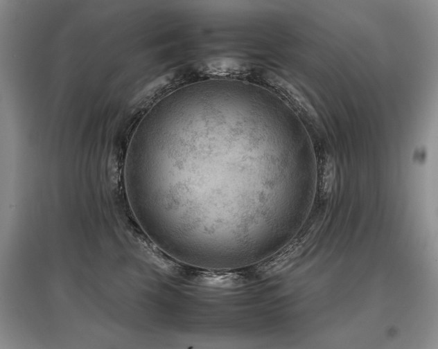 X0000097920569200803141444