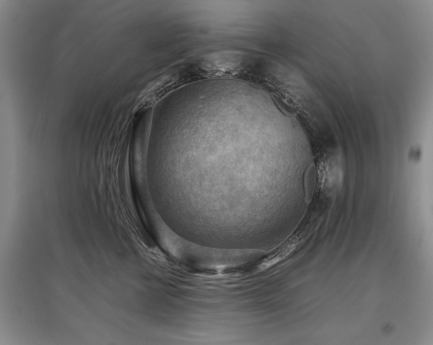 X0000097920570200803141444