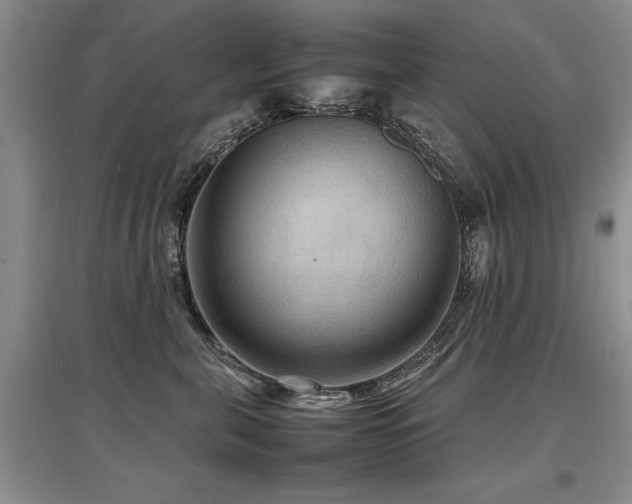 X0000097920571200803141444