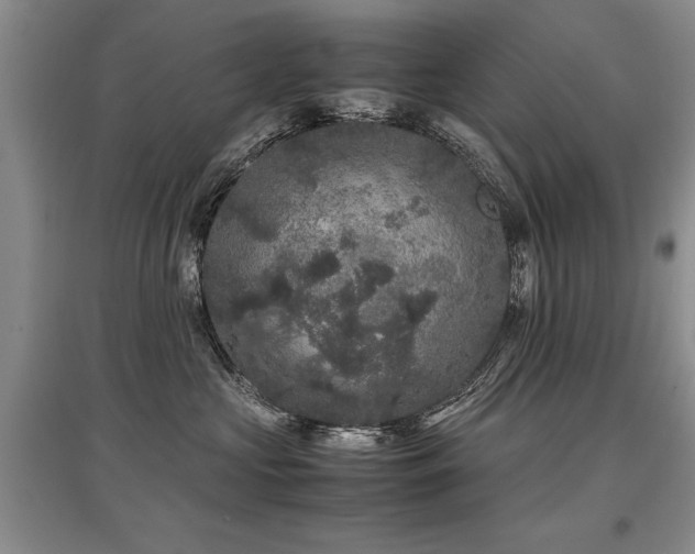 X0000097920573200803141444