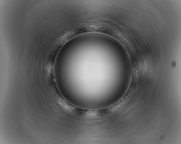 X0000097920574200803141444