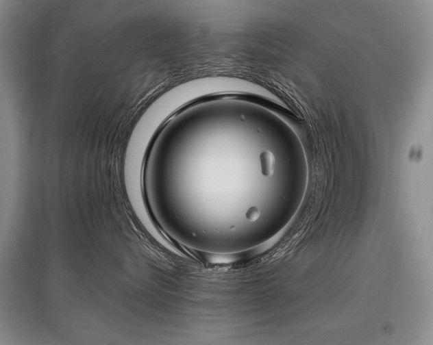 X0000097920576200803141444