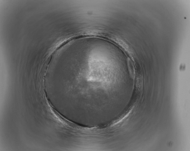 X0000097920577200803141443