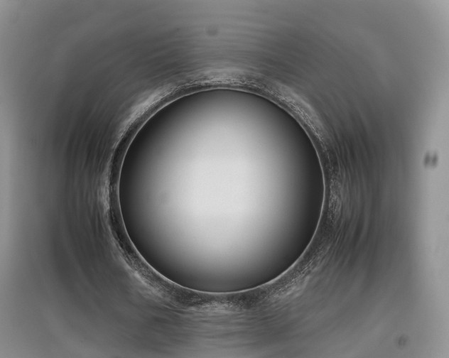 X0000097920578200803141443