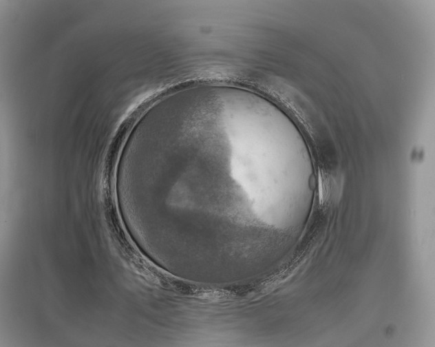 X0000097920579200803141443