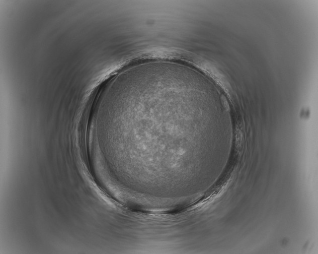 X0000097920581200803141443