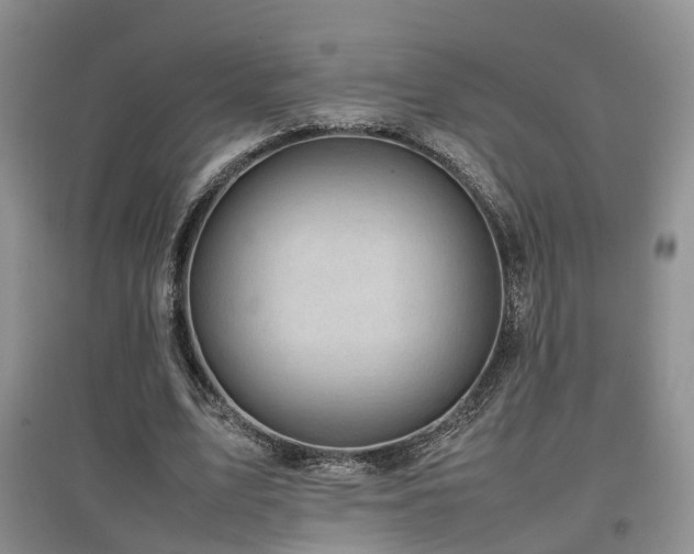 X0000097920583200803141443