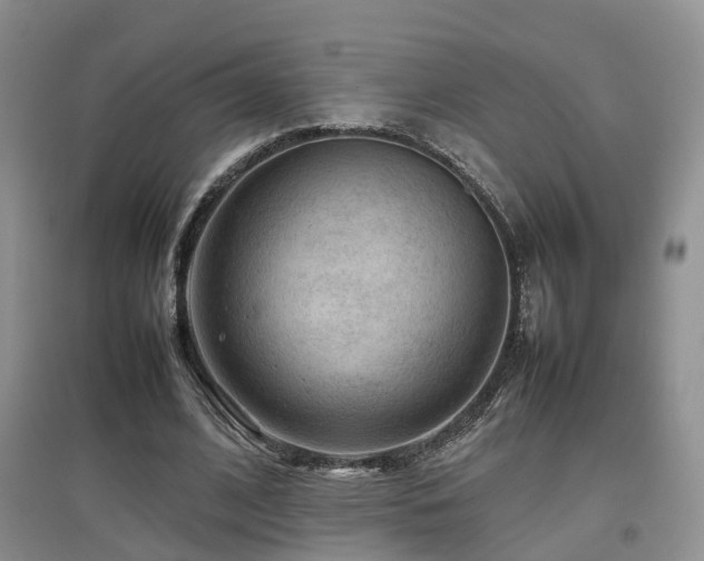 X0000097920584200803141443