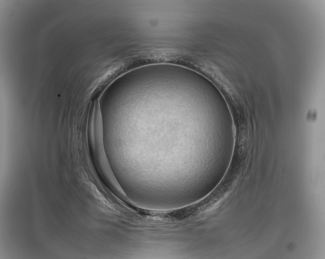 X0000097920585200803141443