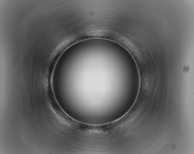 X0000097920586200803141443