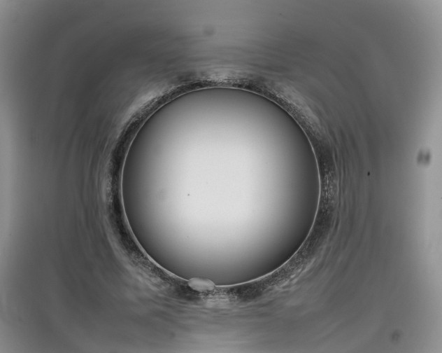 X0000097920587200803141443
