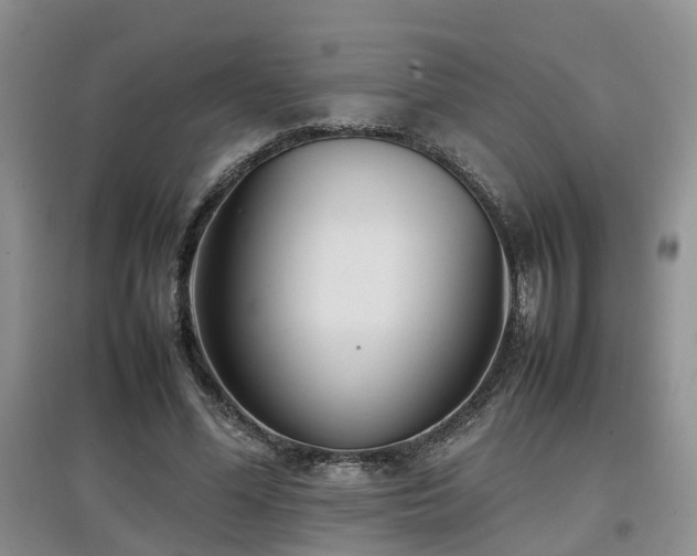 X0000097920588200803141443