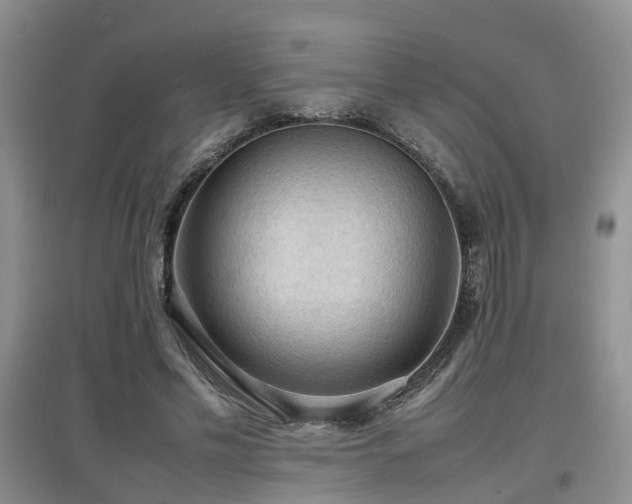 X0000097920589200803141443