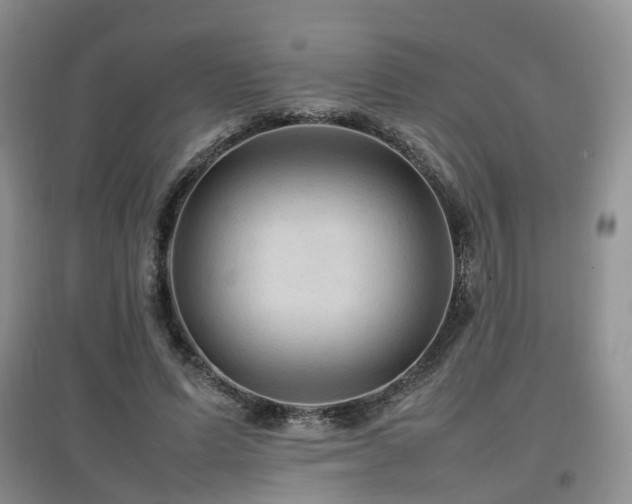 X0000097920591200803141443
