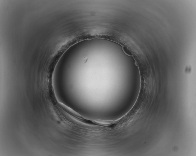 X0000097920592200803141443