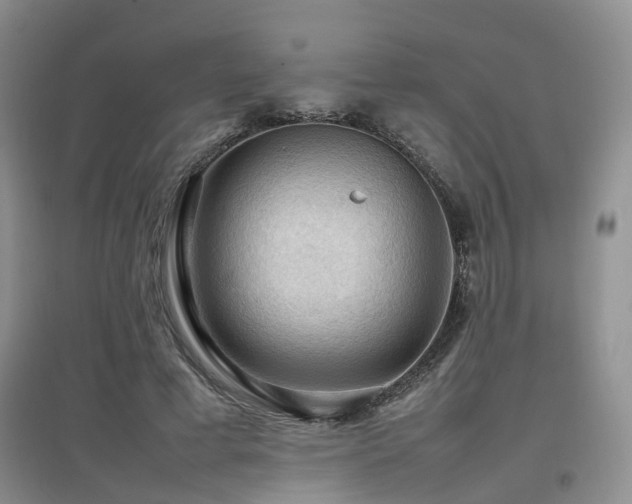 X0000097920593200803141443