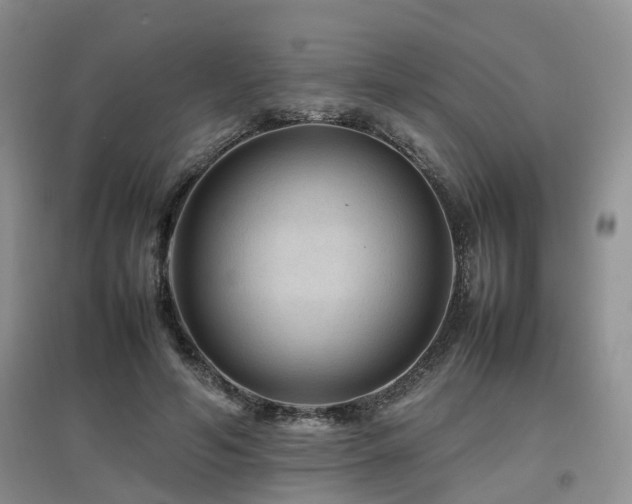 X0000097920594200803141443