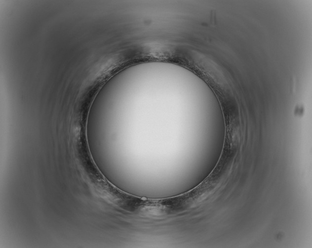 X0000097920595200803141443