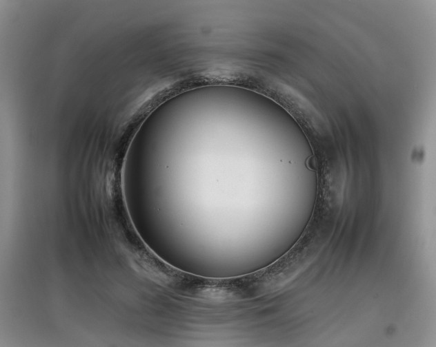 X0000097920596200803141443