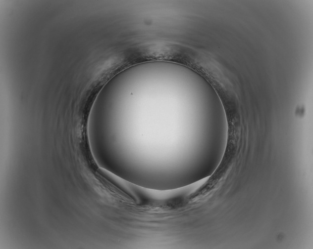 X0000097920597200803141443