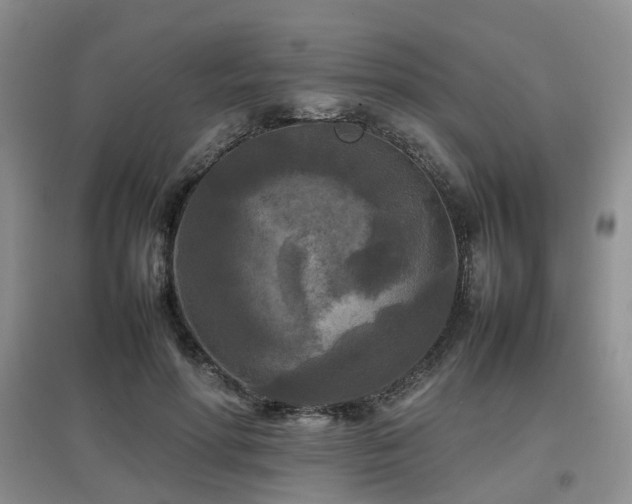 X0000097920598200803141443