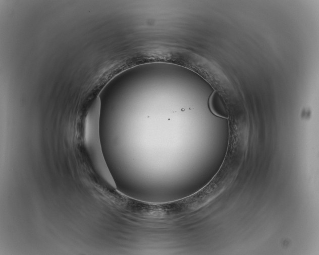 X0000097920600200803141443