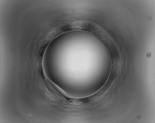 X0000097920601200803141443