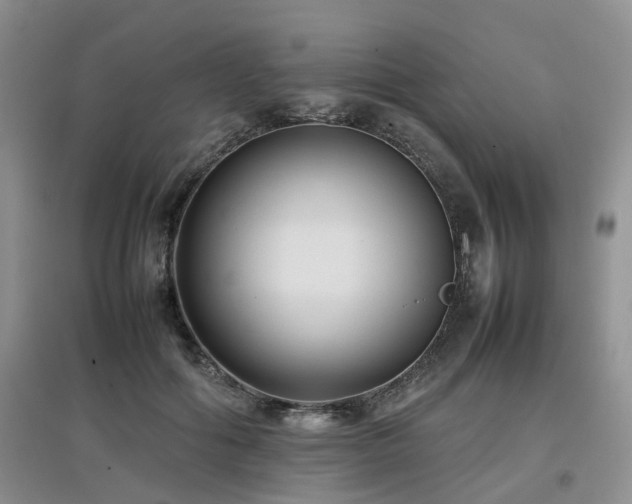 X0000097920602200803141443
