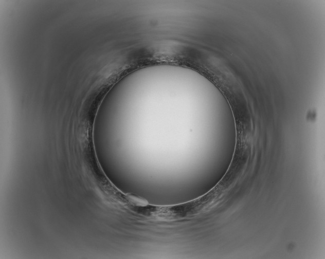 X0000097920603200803141443
