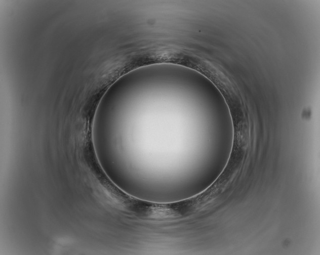 X0000097920605200803141443