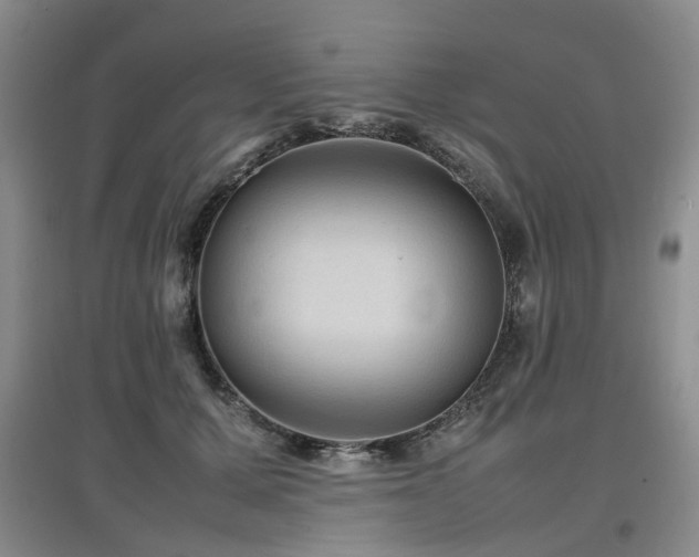 X0000097920607200803141443