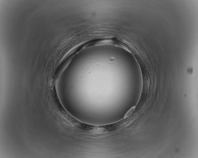 X0000097920609200803141443