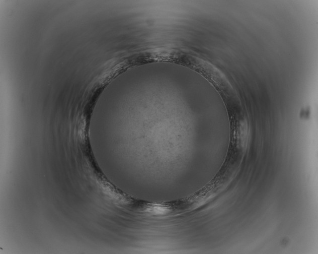 X0000097920610200803141443