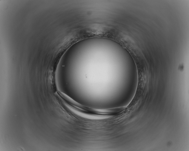 X0000097920612200803141443
