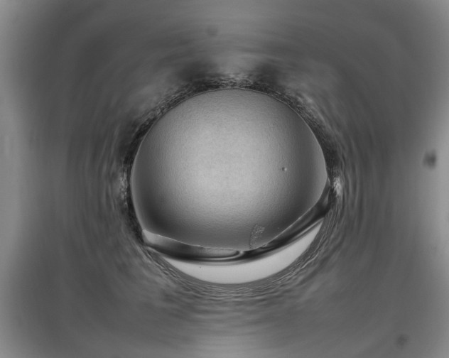 X0000097920613200803141442