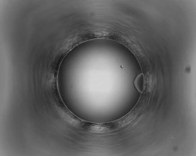 X0000097920614200803141442