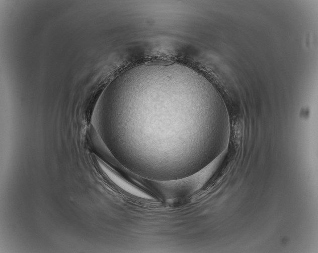 X0000097920617200803141442