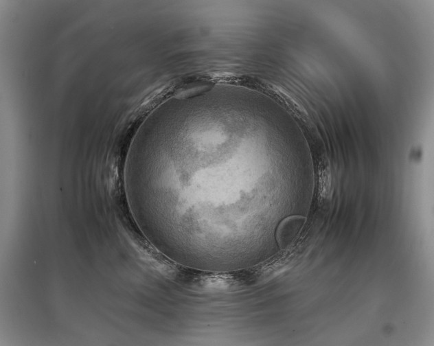 X0000097920618200803141442