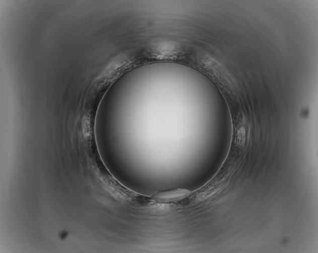 X0000097920620200803141442