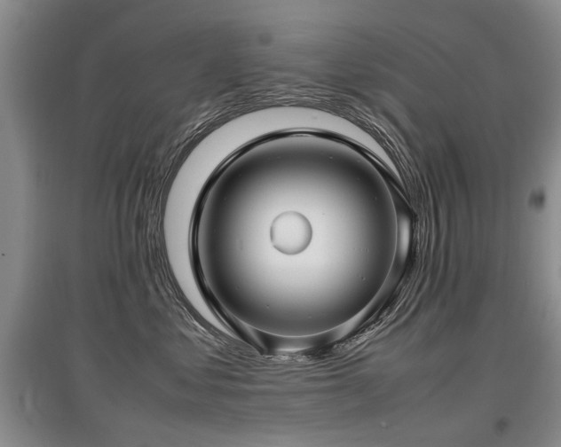 X0000097920621200803141442