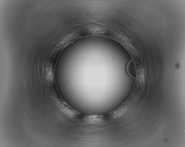X0000097920622200803141442