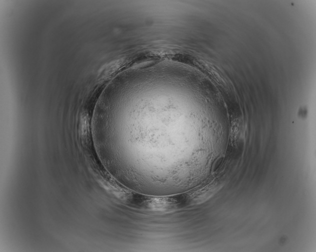 X0000097920623200803141442