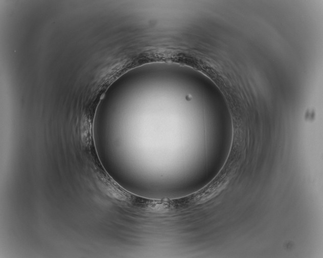 X0000097920624200803141442