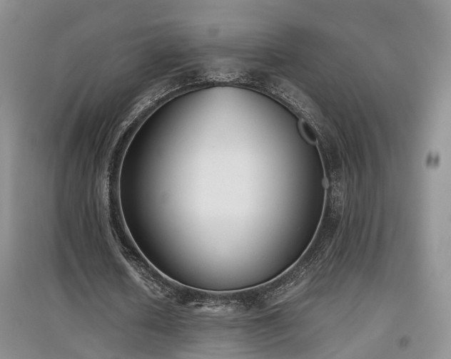 X0000097920626200803141442