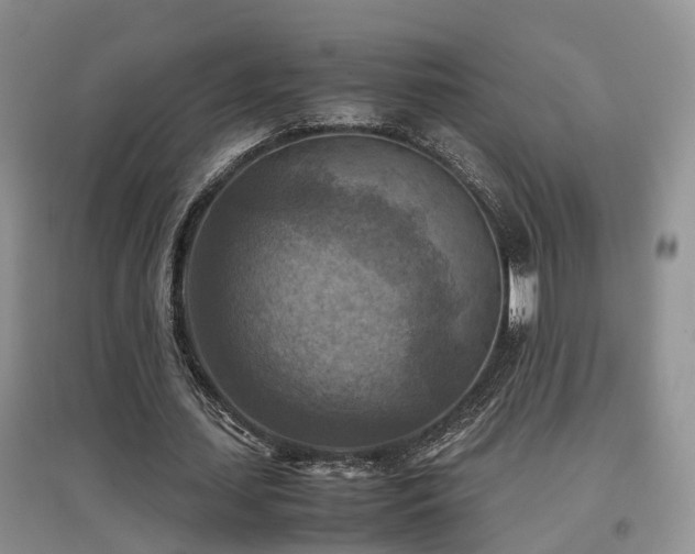 X0000097920627200803141442