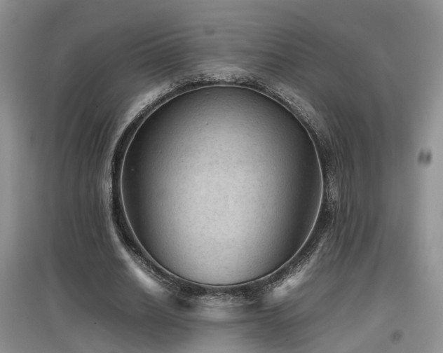 X0000097920630200803141442