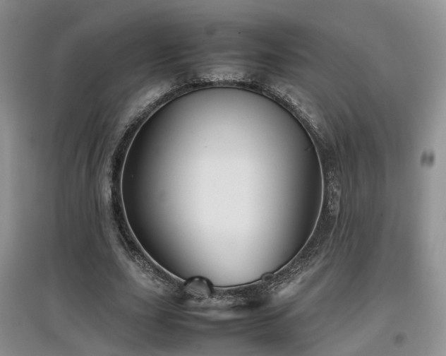 X0000097920631200803141442