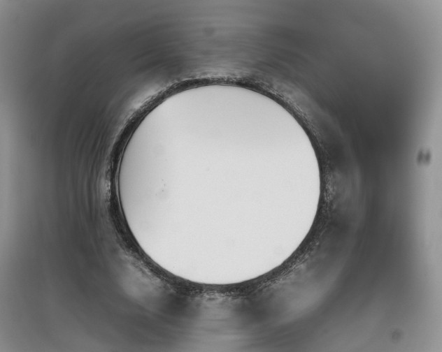 X0000097920632200803141442