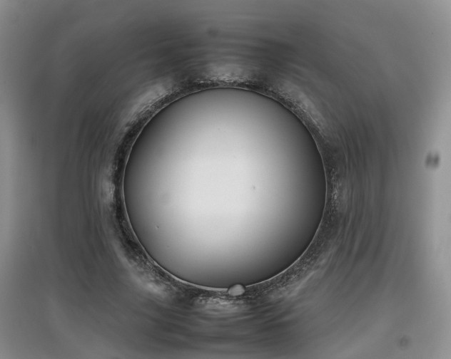 X0000097920635200803141442