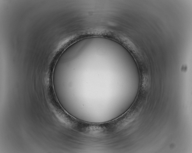 X0000097920636200803141442
